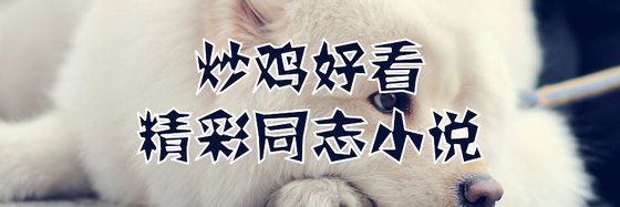 炒雞好看的精彩同志小説